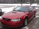 Mustang.webp