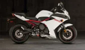 fz6r_1200-01.webp