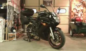 fz6r 3.webp