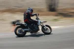 adams-010.webp