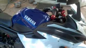 FZ6R Blue Tank On Bike2.webp