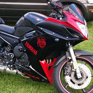Choppers painted 2013 FZ6R