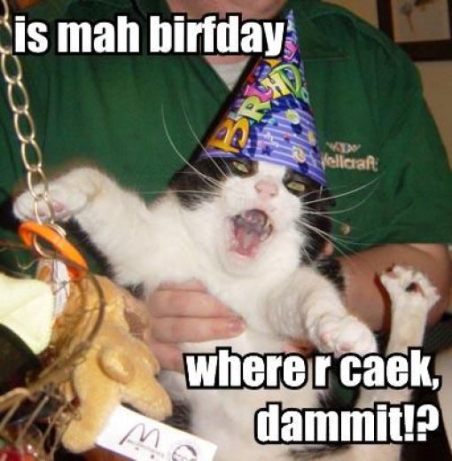 cat_birthday_parties_07.jpg